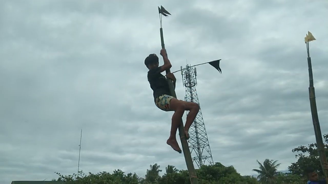 Palo-Sebo:
