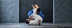 Jiu-Jitsu Brasil: 